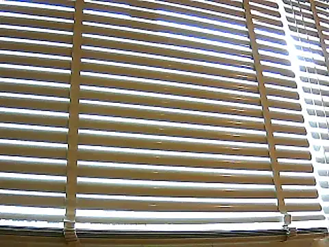 Snapshot of papiculo86 chatting on January 2025 02:41:01 PM papiculo86 online show from January 2025 02:41:01 PM