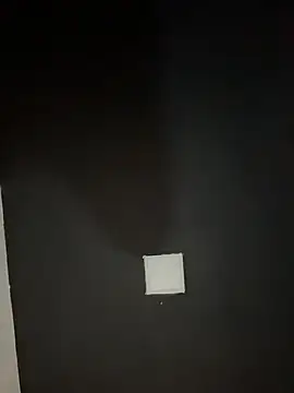 waspy online show from May 2026 09:42:01 PM
