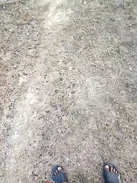 Snapshot of rameshmry1 chatting on February 2026 12:16:01 PM rameshmry1 online show from February 2026 12:16:01 PM