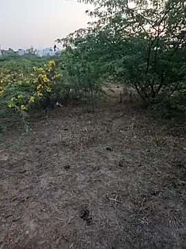 Snapshot of rameshmry1 chatting on March 2026 12:34:01 PM rameshmry1 online show from March 2026 12:34:01 PM