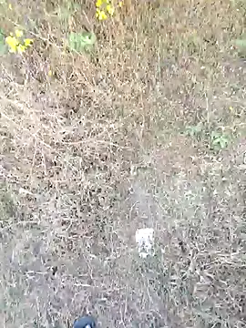 Snapshot of rameshmry1 chatting on March 2026 12:10:02 PM rameshmry1 online show from March 2026 12:10:02 PM