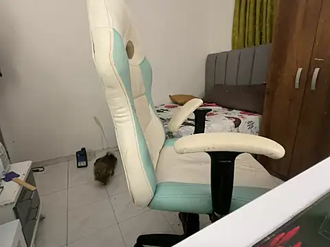 Max TheHorseDick online show from December 2024 02:34:02 AM