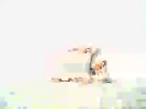 mellow smoke online show from April 2026 08:02:02 PM