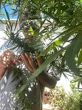 Alicbranca online show from March 2026 03:26:01 PM