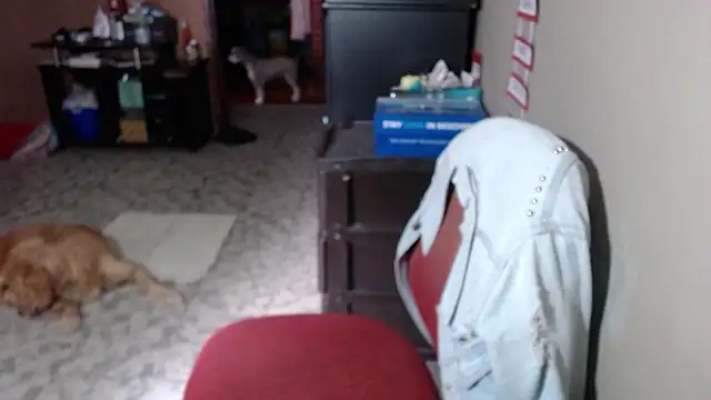 Barbiegomez online show from March 2026 06:11:01 PM