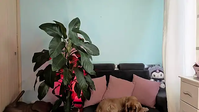 Snapshot of melisa_es chatting on February 2026 02:54:01 PM melisa es online show from February 2026 02:54:01 PM