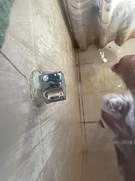 MisaelR10 online show from September 2025 09:29:02 PM