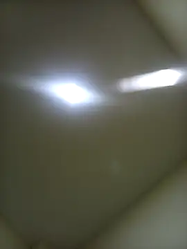 EISONREINA11 online show from December 2025 05:57:01 AM