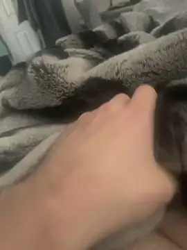 Furdale online show from December 2024 11:52:02 AM