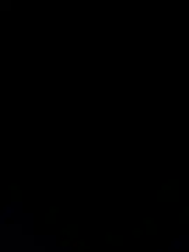 Furdale online show from December 2024 03:54:02 PM