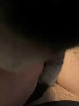 Furdale online show from December 2024 01:11:02 PM