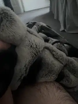 Furdale online show from January 2025 10:43:01 AM