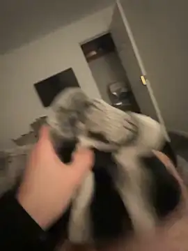 Furdale online show from January 2025 05:19:01 PM