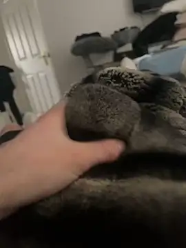 Furdale online show from February 2025 10:21:01 AM