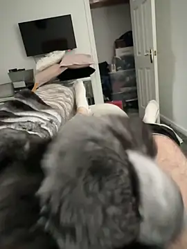 Furdale online show from October 2025 01:57:02 PM