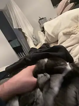 Furdale online show from February 2026 04:35:01 PM