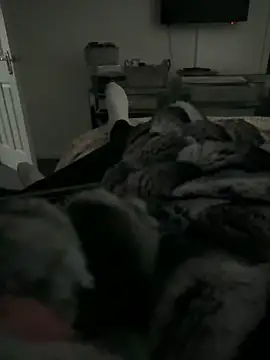 Furdale online show from February 2026 03:39:02 PM