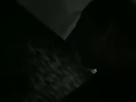 Snapshot of ALPHANDRE chatting on March 2026 07:29:01 PM ALPHANDRE online show from March 2026 07:29:01 PM