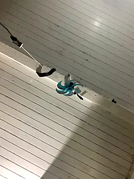 Snapshot of raphadoors19 chatting on December 2025 04:07:02 AM raphadoors19 online show from December 2025 04:07:02 AM