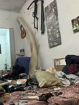 Snapshot of raphadoors19 chatting on December 2025 04:52:01 AM raphadoors19 online show from December 2025 04:52:01 AM