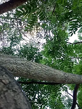 Keli Jessi online show from September 2025 01:21:01 PM