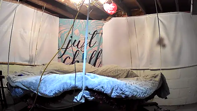 cum4calvin online show from March 2025 11:16:02 PM