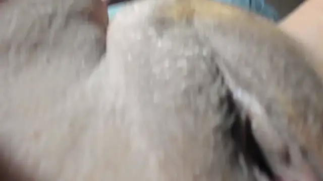 FrumCake online show from December 2024 01:11:02 AM