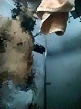 Pziko online show from January 2026 03:09:02 AM