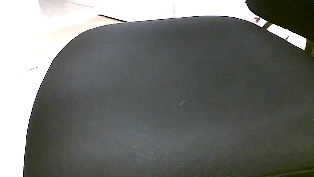 Snapshot of jungle644 chatting on January 2026 02:41:01 PM jungle644 online show from January 2026 02:41:01 PM