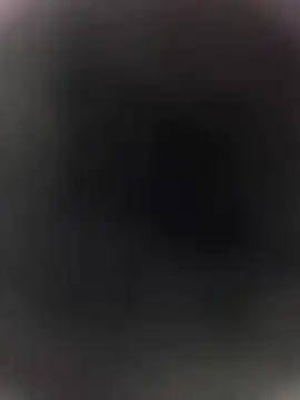 Snapshot of Pitercom chatting on January 2026 10:24:01 PM Pitercom online show from January 2026 10:24:01 PM