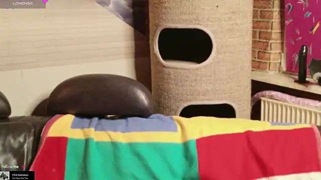 Snapshot of GamerGirl_Eve chatting on February 2026 06:28:02 PM GamerGirl Eve online show from February 2026 06:28:02 PM