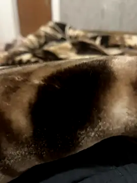 bigshow112 online show from November 2025 04:22:01 AM