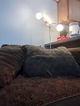 Yankeedave420 online show from March 2026 11:31:02 PM