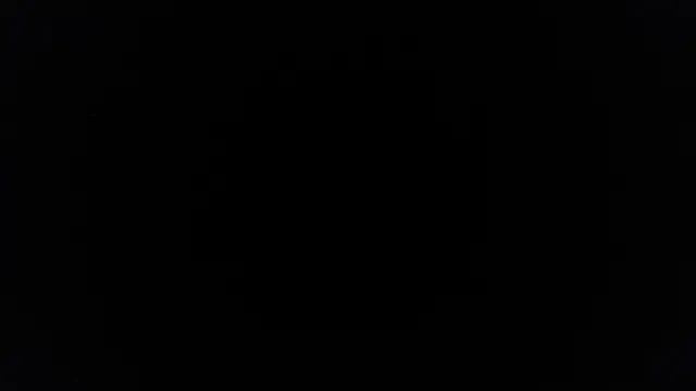 palidin1 online show from June 2026 07:41:02 PM