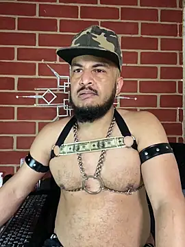 the master foal  online show from February 2026 02:34:01 PM