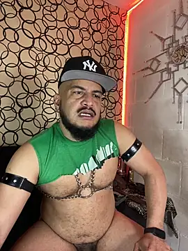 the master foal  online show from February 2026 07:03:02 PM