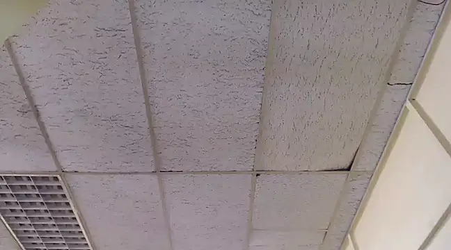 Snapshot of Mydreamgirrl chatting on March 2025 01:46:01 PM Mydreamgirrl online show from March 2025 01:46:01 PM