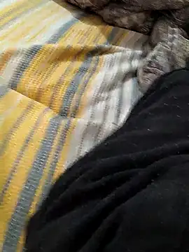 Snapshot of Yaramaz331 chatting on March 2025 06:39:02 AM Yaramaz331 online show from March 2025 06:39:02 AM