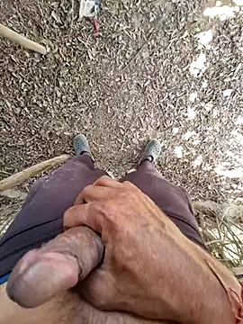 breejs online show from November 2025 06:55:01 AM