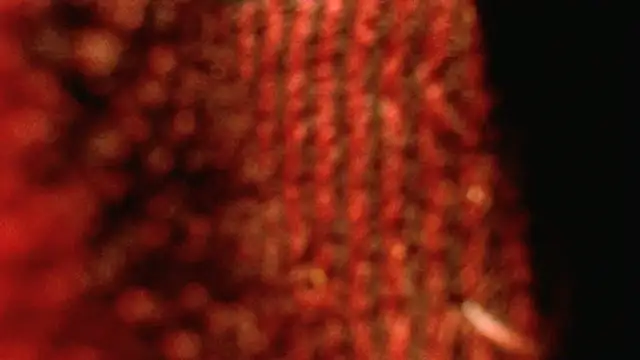 rockhead1971 online show from October 2025 10:49:02 AM