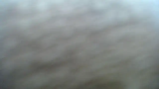 DAPHNE doll online show from November 2025 03:35:01 PM