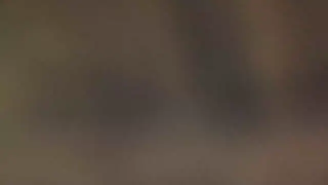 leccaleccafiga online show from March 2026 02:00:02 PM