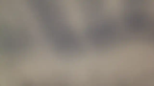 leccaleccafiga online show from April 2026 01:52:02 PM