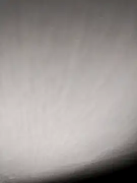 Annerae online show from April 2026 03:50:02 PM