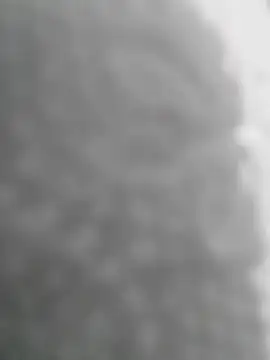 Snapshot of Sexilvenia chatting on May 2026 10:28:01 PM Sexilvenia online show from May 2026 10:28:01 PM
