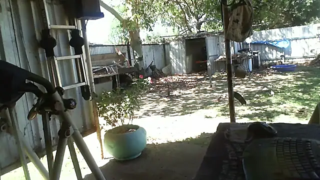 herbie010666 online show from November 2025 04:24:02 AM