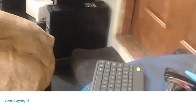 Spundaynightxh online show from February 2025 10:03:02 AM