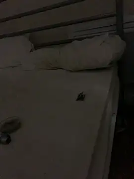 Da yellow 1 online show from December 2024 12:28:02 AM