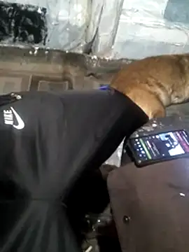 Wero4200 online show from March 2026 09:05:02 AM