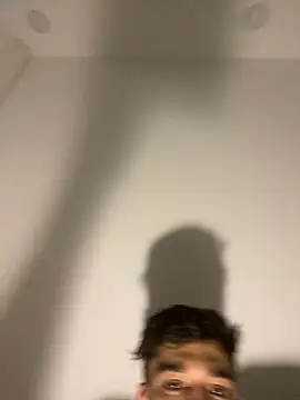 Snapshot of Hermanooooooo chatting on January 2025 04:06:01 AM Hermanooooooo online show from January 2025 04:06:01 AM